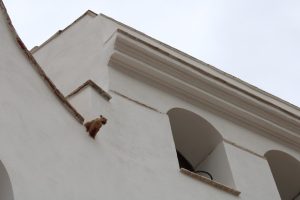 El Mas de Dalt, a la finca del Mas Roger