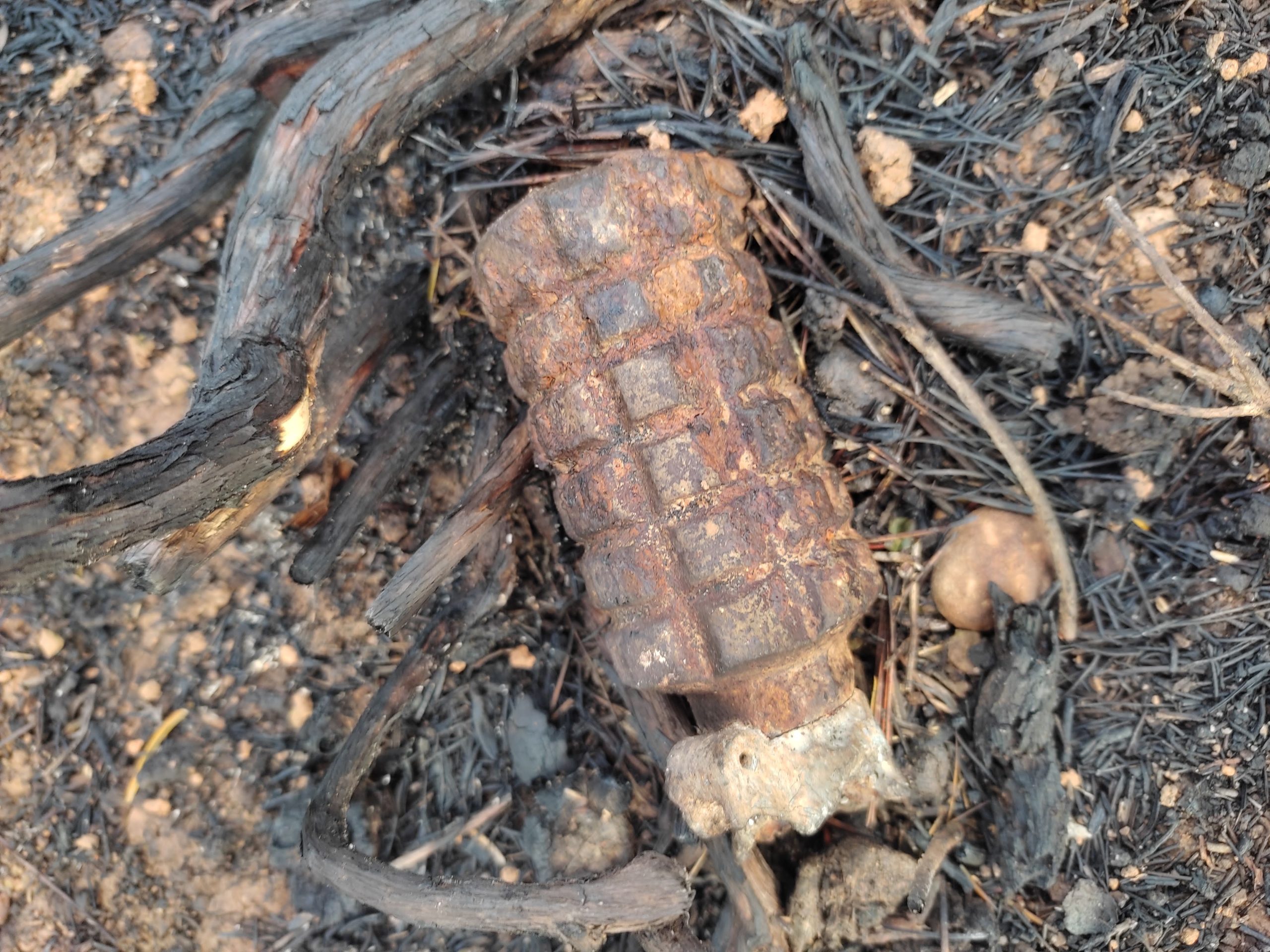 L’incendi dels Burgans posa al descobert una granada de la guerra civil