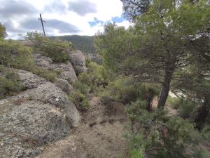 image-3-11