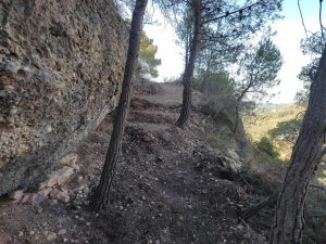 image-3-14