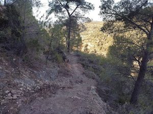 image-3-16