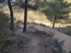 image-3-17