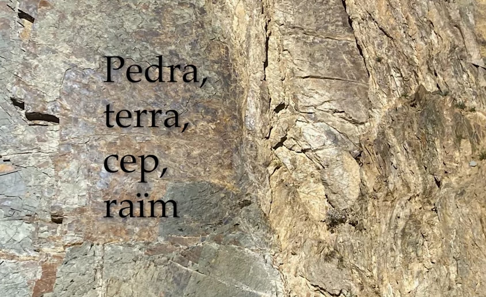 El curtmetratge d’Agusti Masip “Pedra, terra, cep, raïm” ja es pot veure en obert a YouTube