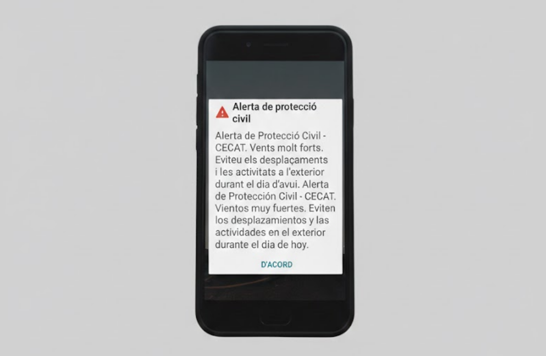 L’alerta per fort vent obliga a suspendre la rua de Carnestoltes