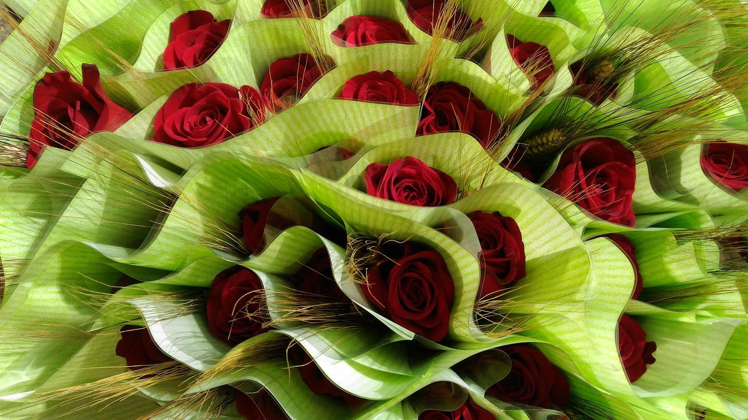 L’AMPA de l’Escola El Castell celebrarà demà la jornada de Sant Jordi davant del Cafè