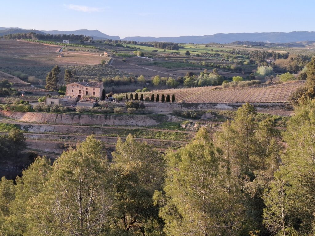 L’associació Prioritat posa en marxa un cicle de sortides per descobrir el paisatge cultural des dels miradors de la comarca