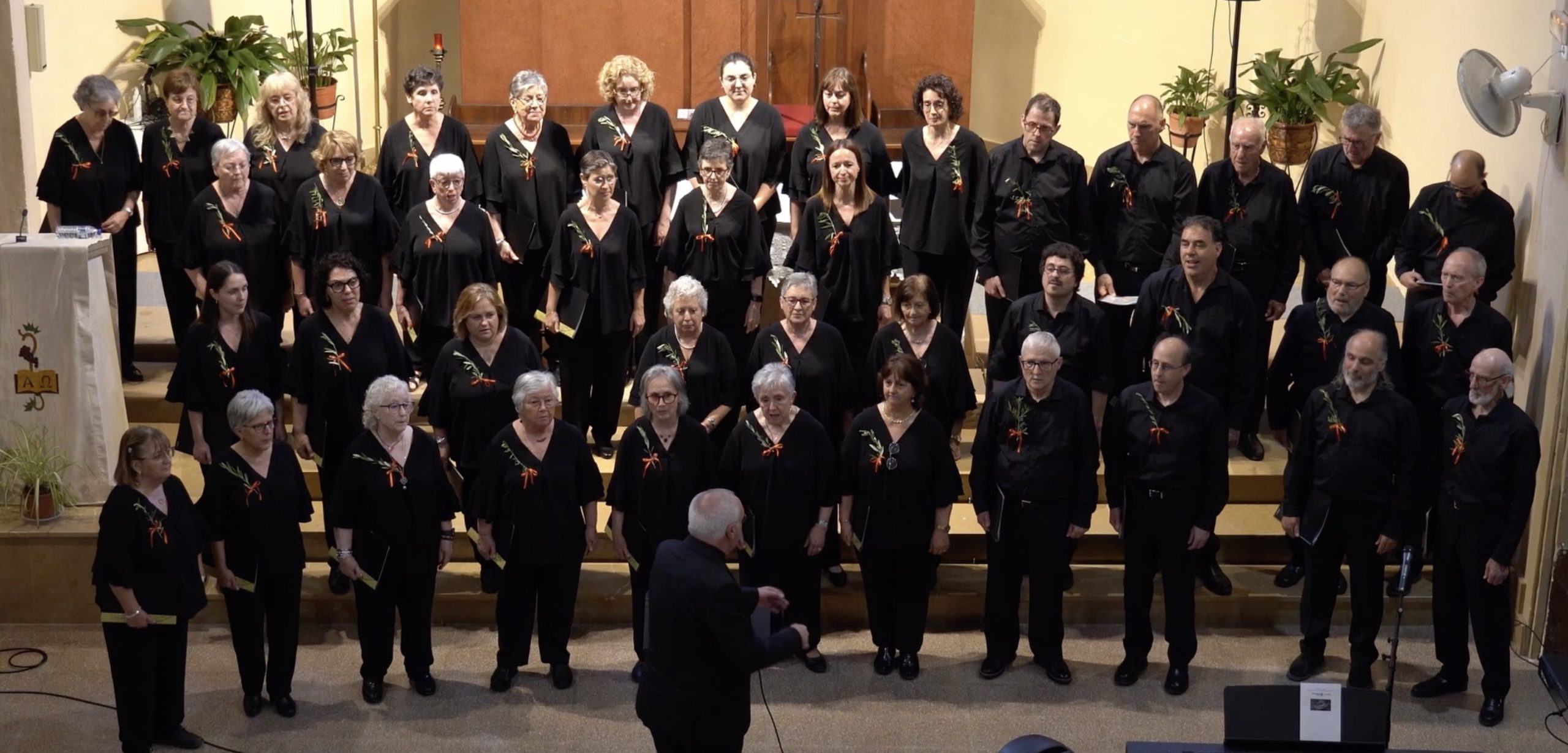 Els nostres concerts