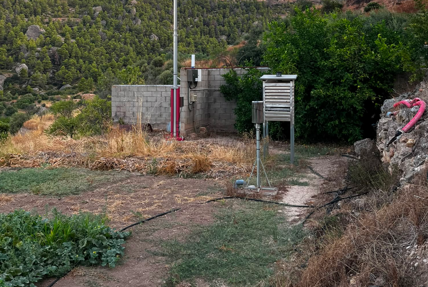 Setanta-cinc anys d’observació meteorològica